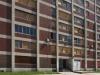 green cabrini